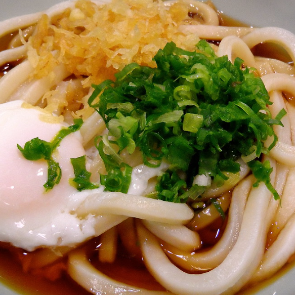일본식 우동