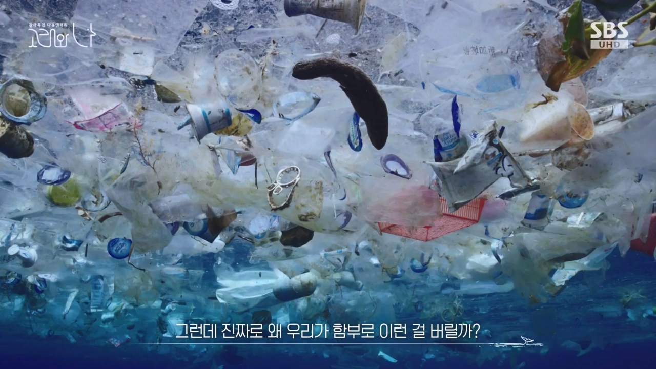 창사특집 다큐멘터리 고래와 나.E02.231126p-NEXT.mp4_20231126_163223.705.jpg