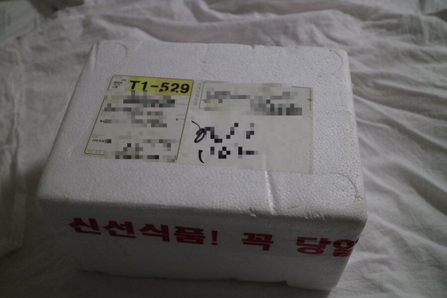 잘 어울리는 황고집 고추 넣는 간단한 반찬 어디서나 10