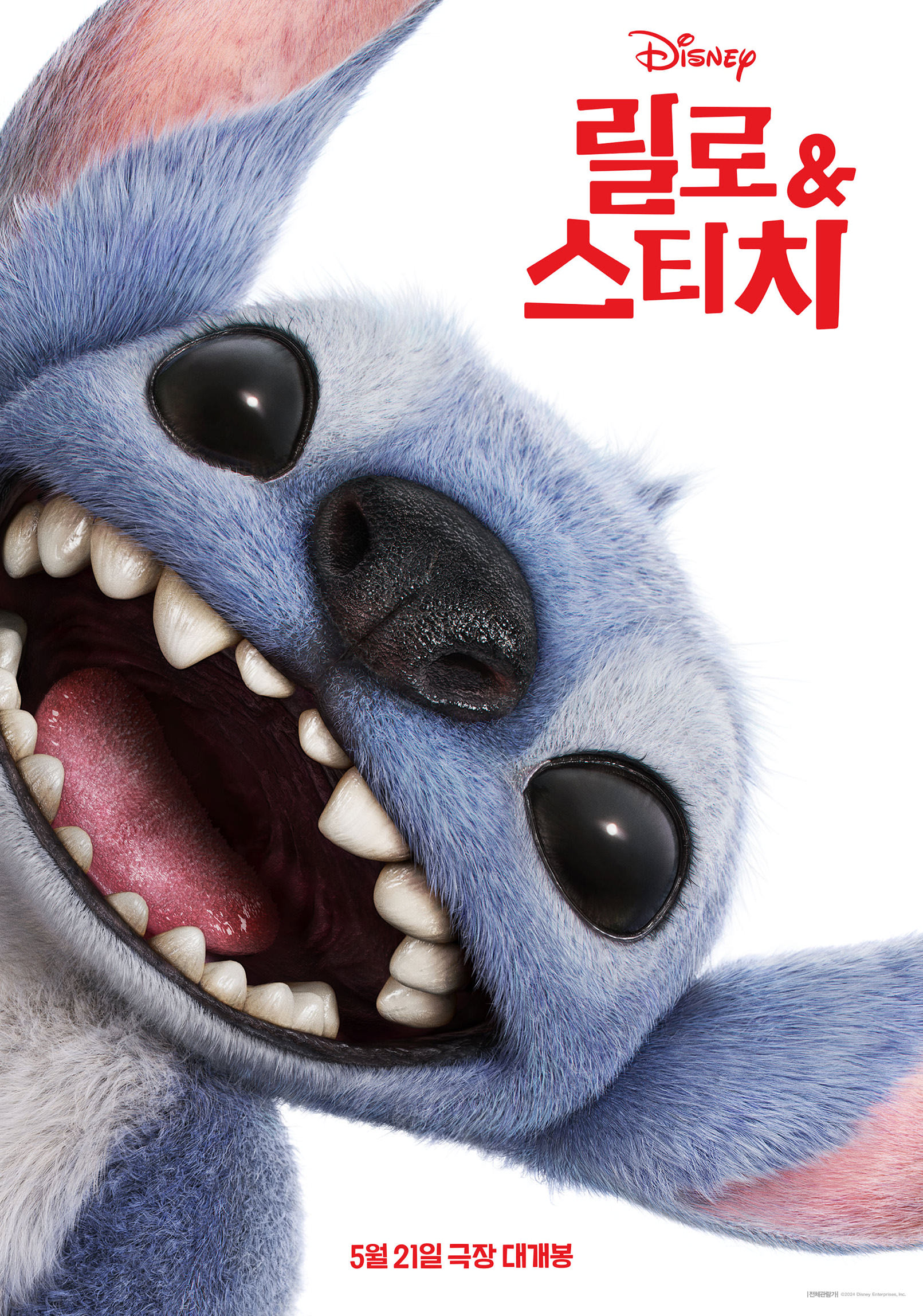 디즈니 실사 영화 '릴로 & 스티치' 포스터. 화면 가득 스티치의 얼굴이 클로즈업으로 담겨 있으며, 환하게 웃으며 양팔을 벌린 듯한 장난기 가득한 표정을 하고 있다. 푸른 털과 커다란 검은 눈, 날카로운 이빨이 인상적이며, 하얀 배경에 강렬한 대비를 이룬다. 오른쪽 상단에는 붉은색 디즈니 로고와 함께 영화 제목 '릴로 & 스티치'가 한글로 적혀 있고, 하단에는 '5월 21일 극장 대개봉'이라는 문구가 강조되어 있다. 귀엽고 활기찬 분위기가 전면에 드러난 포스터로, 어린이부터 성인까지 폭넓은 관객층을 겨냥한 가족 영화임을 알 수 있다.