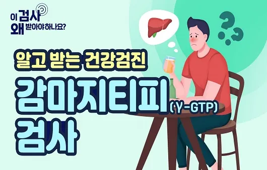 감마지피티 높으면 수치 정상화_3