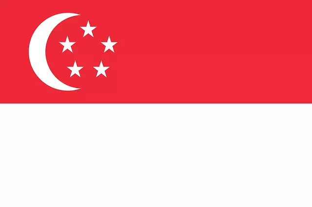 경제야놀자 싱가포르1