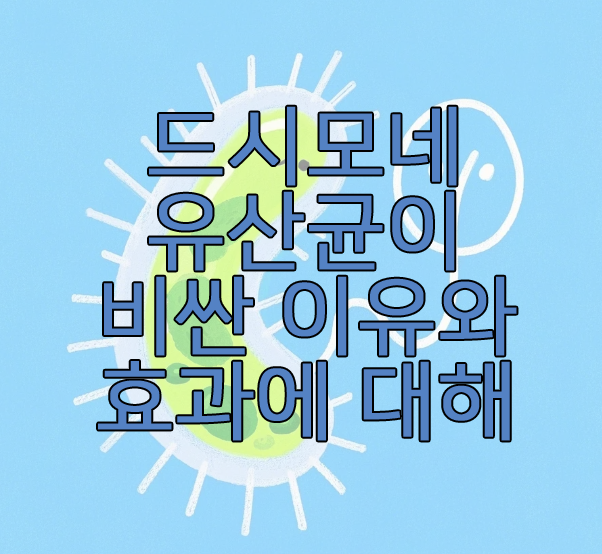 드시모네에 관한 글 보러 가기 링크 사진