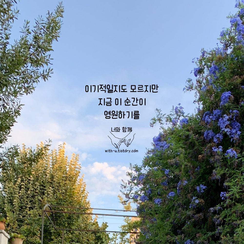  사진 명언 : 짧고 좋은 글귀 : 짧은 명언