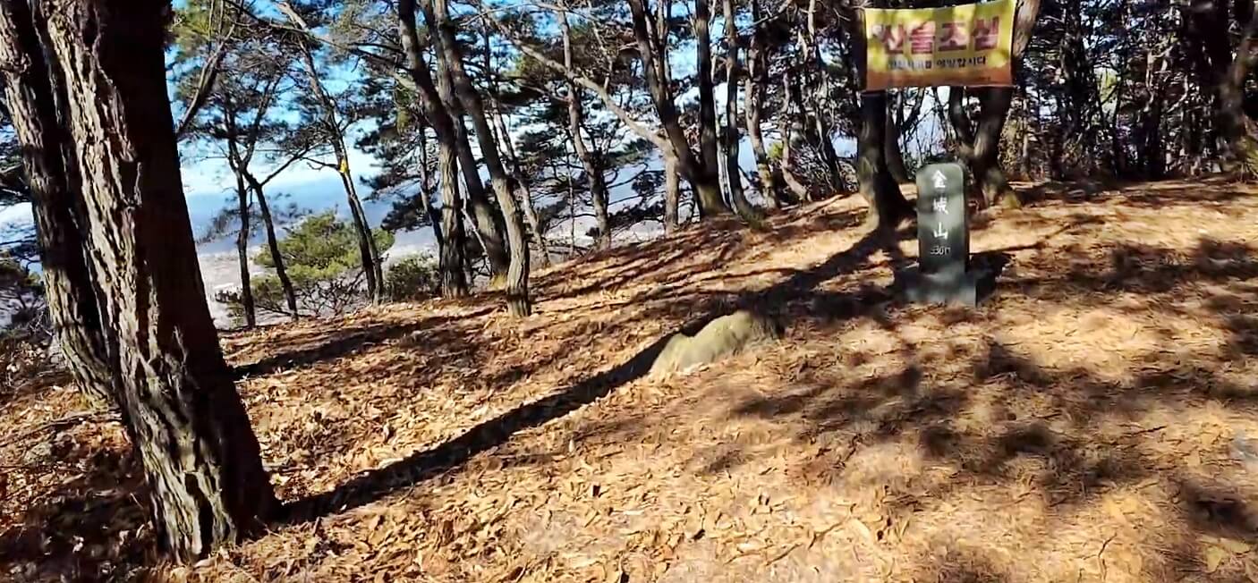금성산