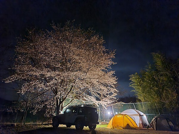 경남 산청 가볼만한곳 벛꽃 잔디 캠핑장 경호강그린캠프