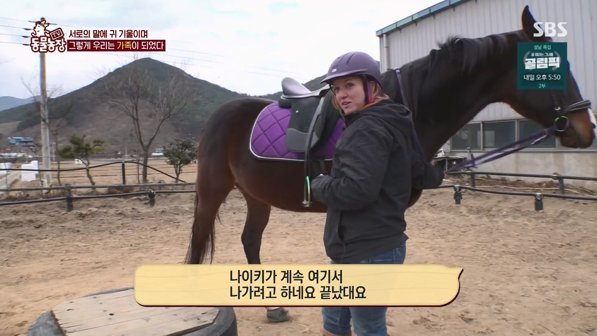 TV 동물농장.E1158.240211p.H264-F1RST.mp4_20240211_194059.422.jpg