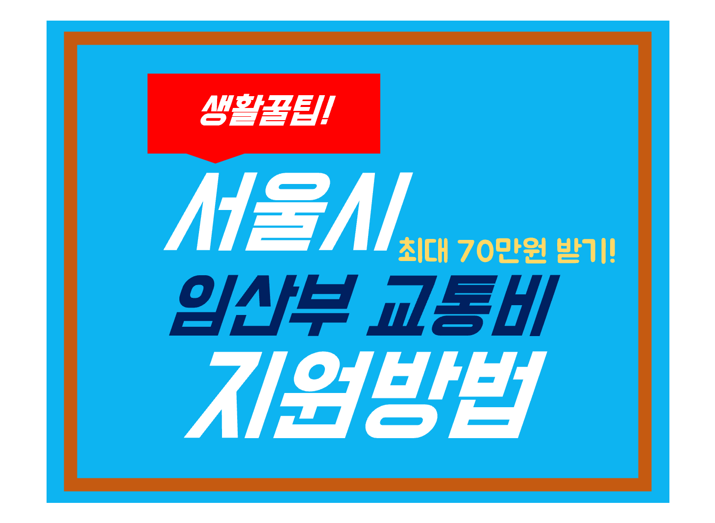 서울시 임산부 교통비 지원방법
