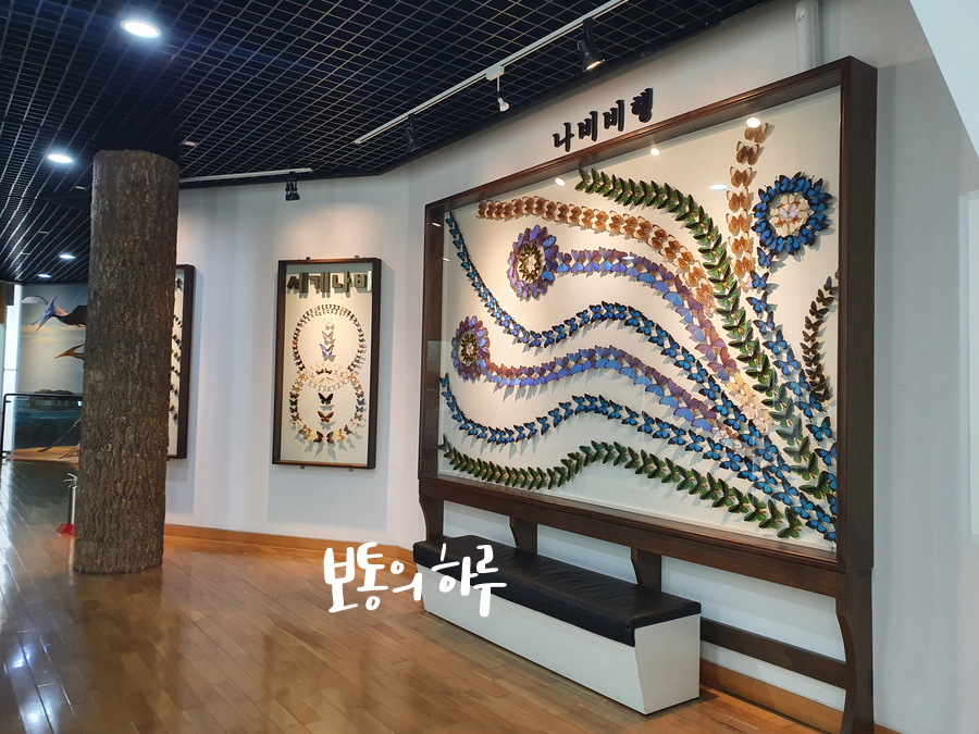 무주 반디랜드 다녀왔어요 대전 근교 가볼만한곳 4