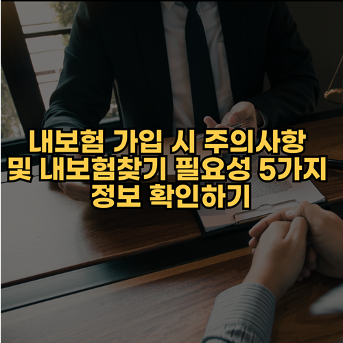  내보험 가입 시 주의사항 및 내보험찾기 필요성 5가지 정보 확인하기