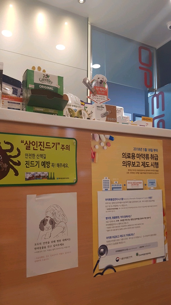 강아지 건강검진을 받았어요 대전동물병원 첫 방문 7