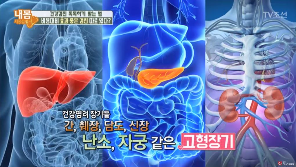  복부 초음파로 알 수 있는 것 알수있는 병은? 복부 초음파 비용