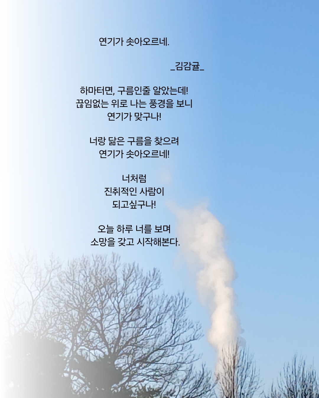 진취 이미지