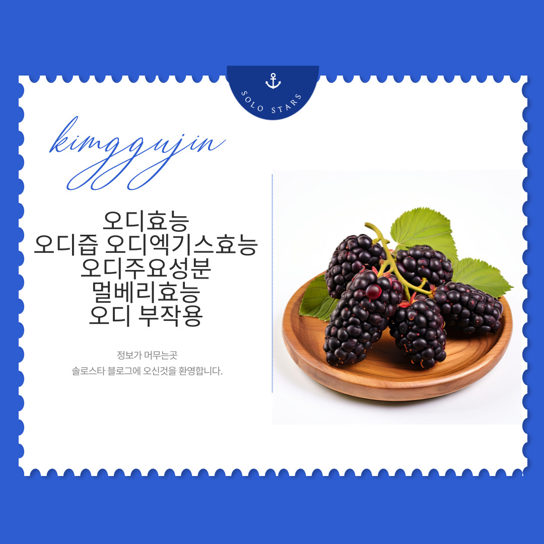 오디 사진