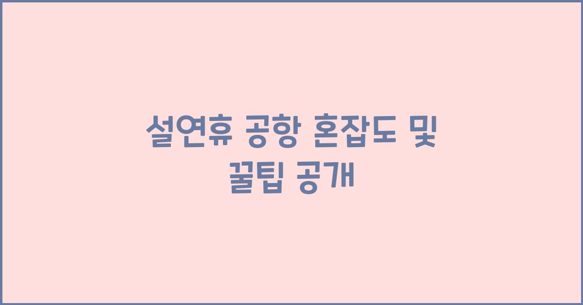 설연휴 공항