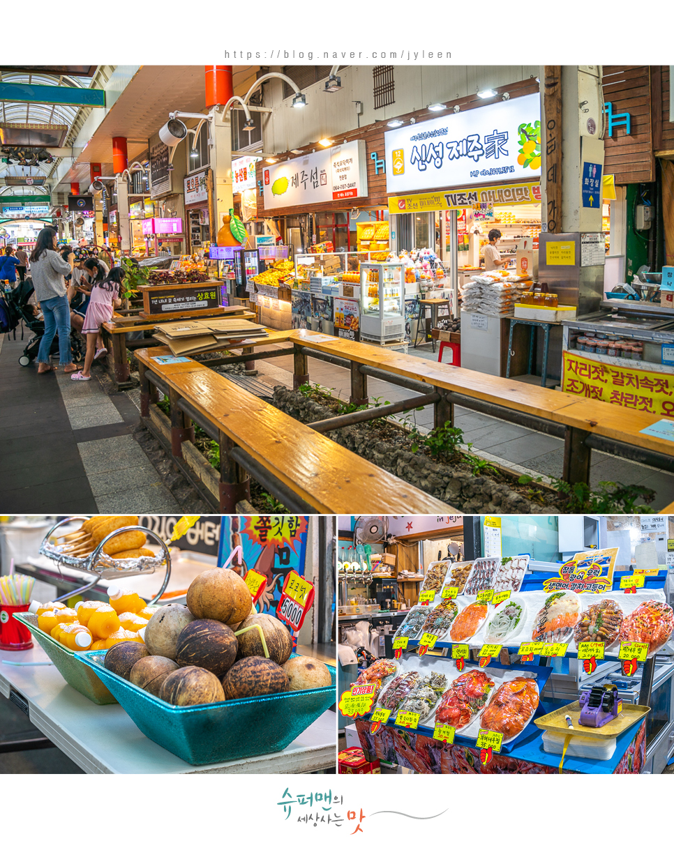 승합차렌트 제주도 26