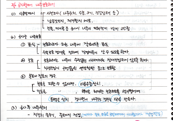  [비생물적피해론] 공사할때 나무보호하기