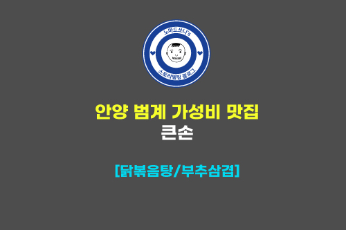  안양 범계역 가성비 닭도리탕 닭볶음탕 맛집 ㅣ 큰손