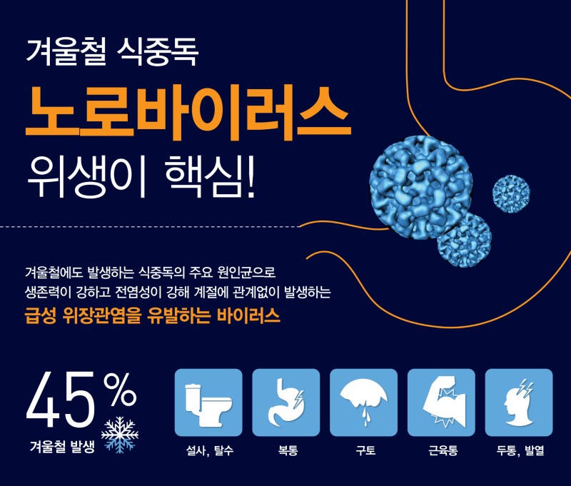  노로 바이러스 장염 증상 그리고 예방법