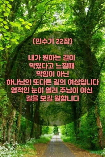 민수기 22장 발락과 발람 묵상_9