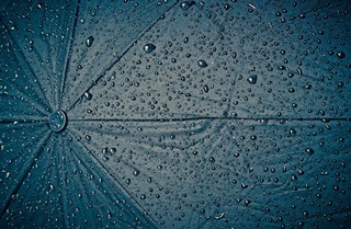 검은 우산에 빗방울