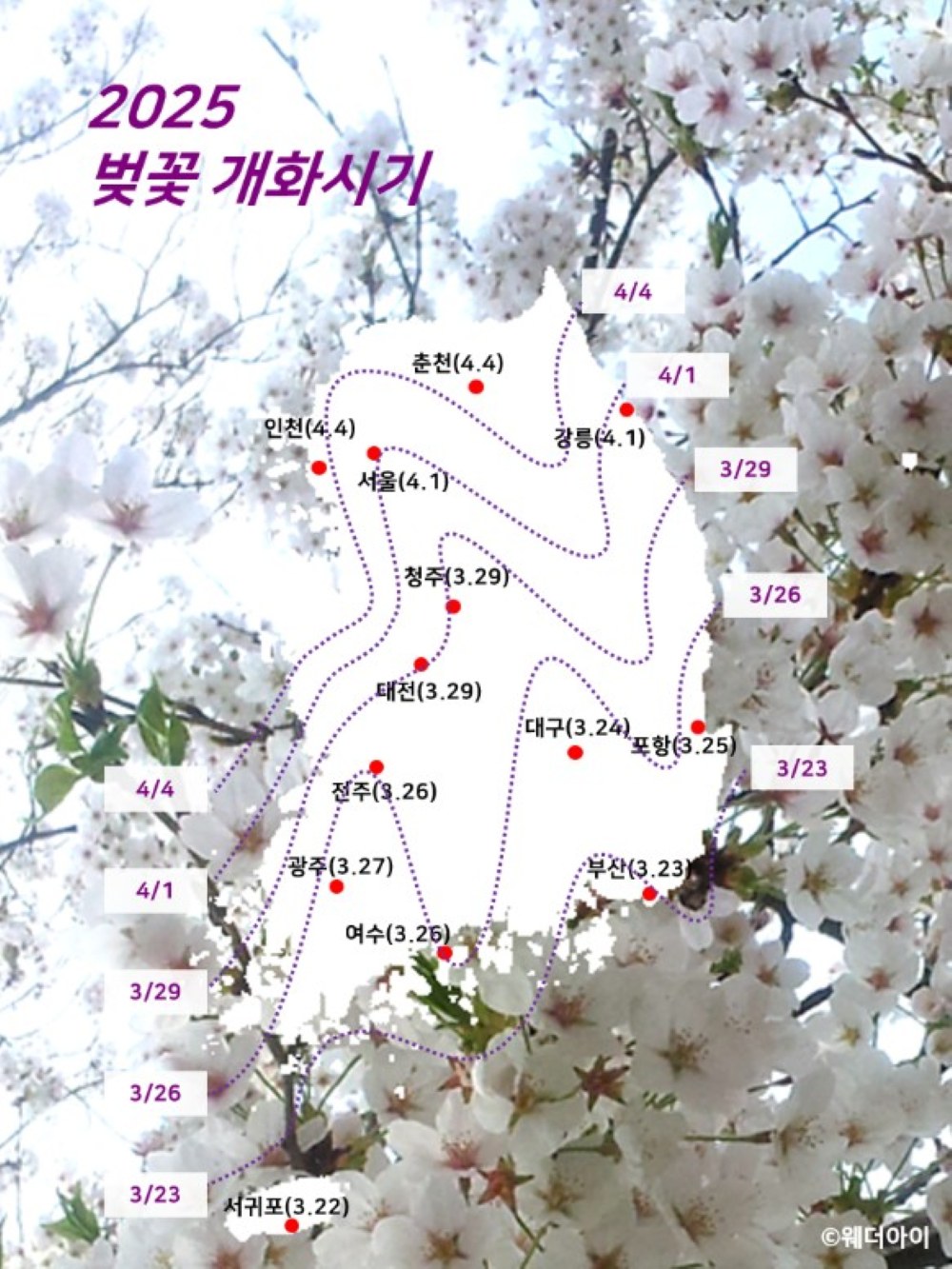 2025 벚꽃 개화 예상 시기 지도 이미지