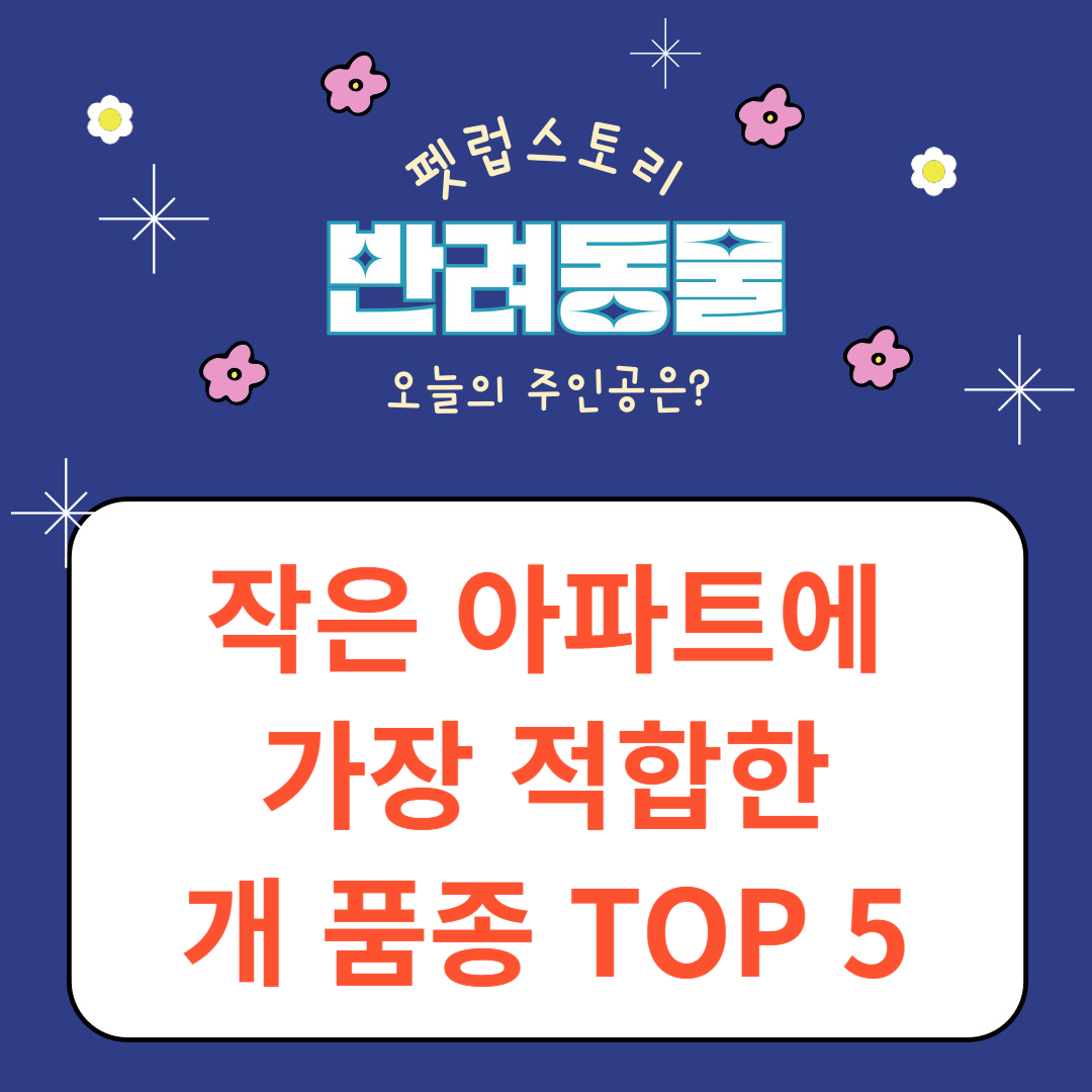 작은 아파트에 가장 적합한 개 품종 TOP 5