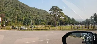 소백산 비로봉 연화봉 등산 완벽 산행코스 소요시간 주차팁과 철도 정보_22