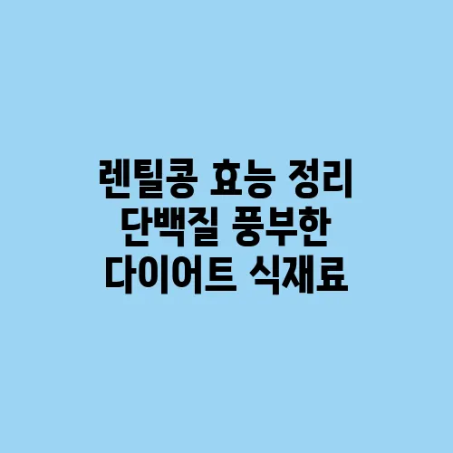 렌틸콩 효능 정리 단백질 풍부한 다이어트 식재료