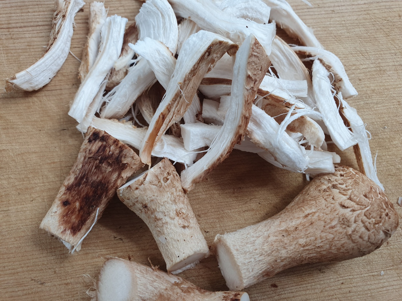 송화버섯 효능 송화버섯 보관방법 관리방법