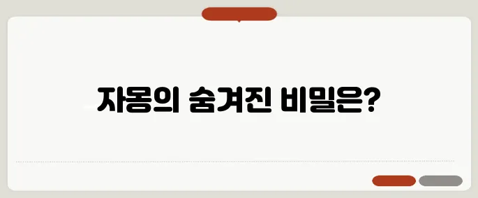 자몽 효능 다이어트에도 효과적 식전에 먹는 이유