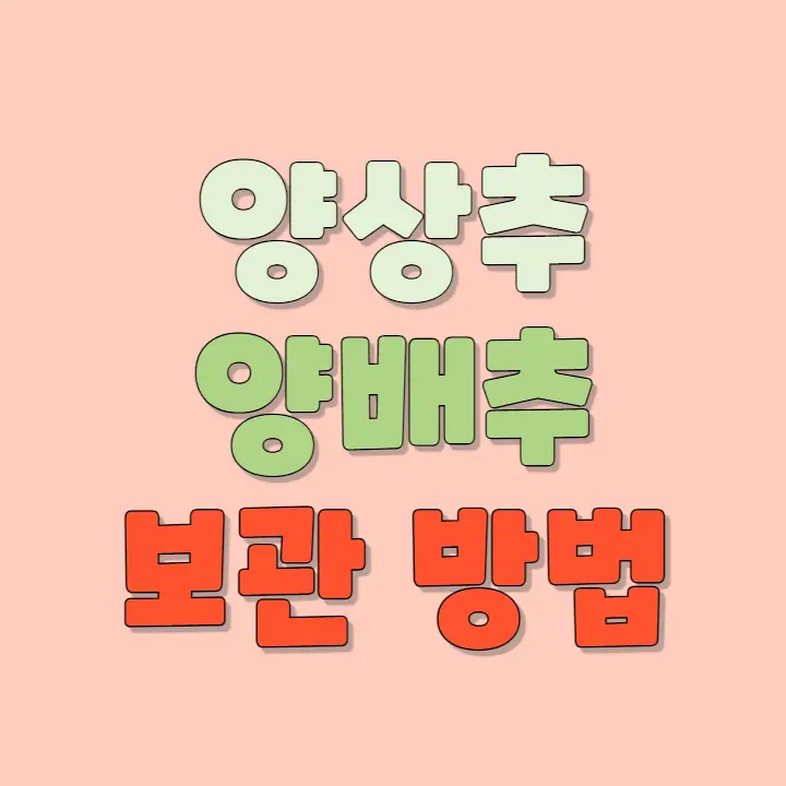 양배추 양상추 보관 방법