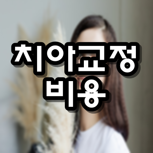  치아교정 비용