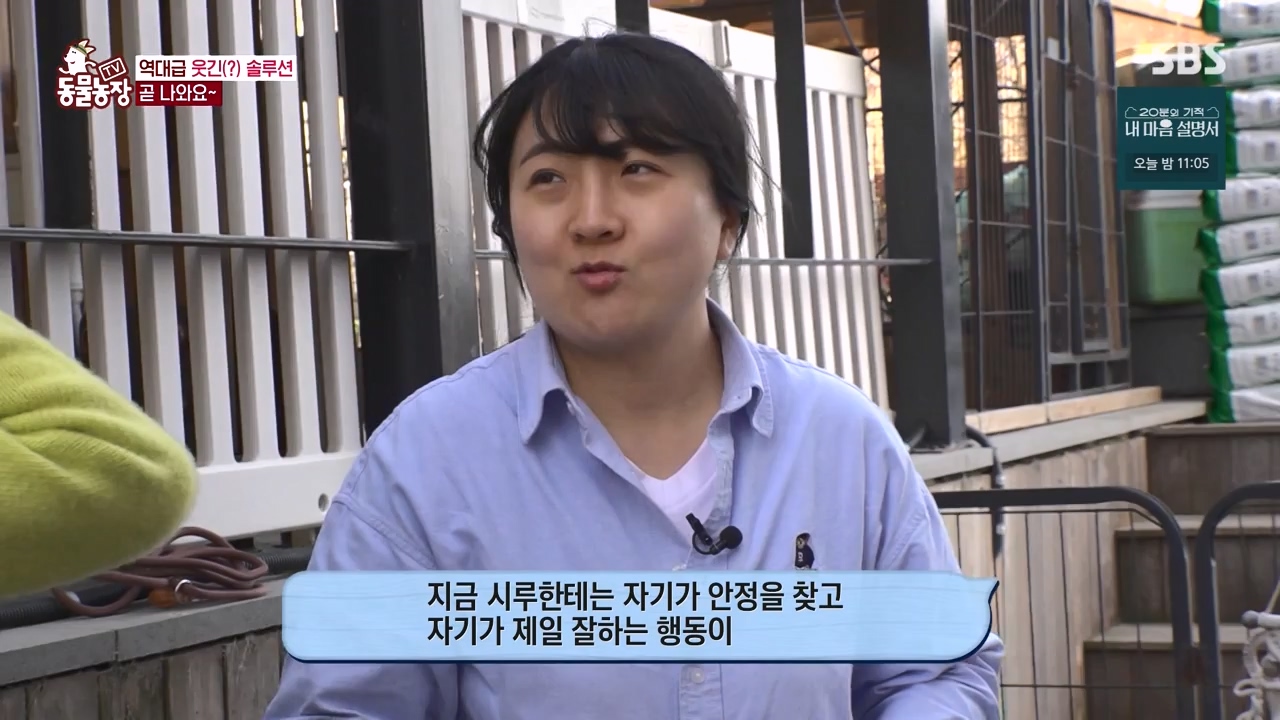 TV 동물농장.E1172.240520p-NEXT.mp4_20240519_165243.175.jpg