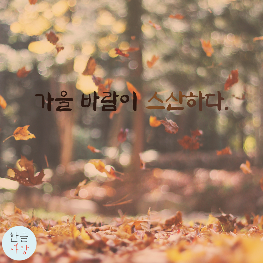  가을 바람이 스산하게 느껴집니다.