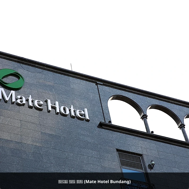 메이트 호텔 분당 (Mate Hotel Bundang)_1