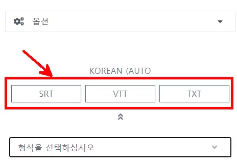 savesubs-유튜브-자막-다운로드