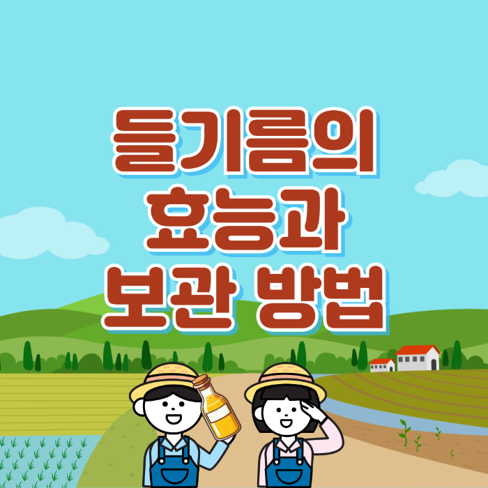  들기름 효능, 보관 방법 알아보기