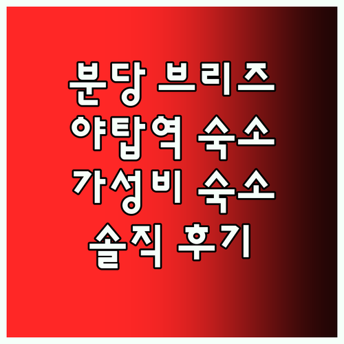분당 브리즈호텔 숙박 후기 야탑역 인