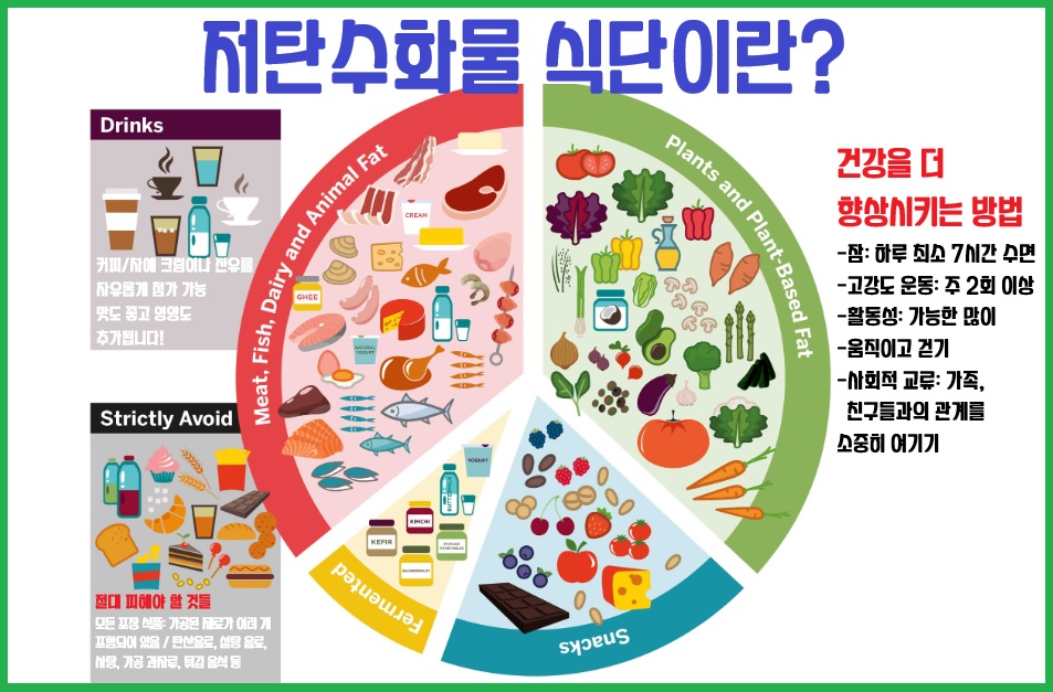저탄수화물식 저탄수화물식단