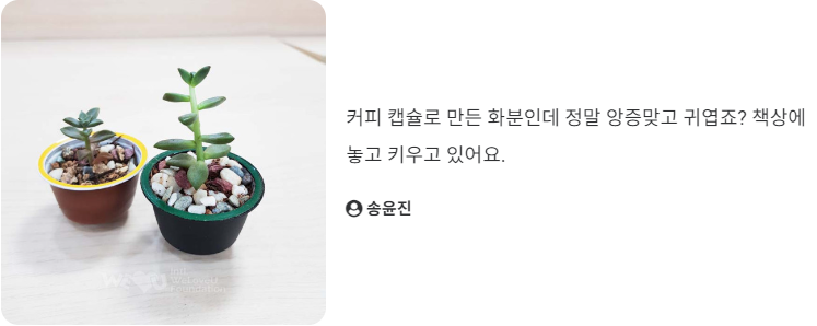 위클린 이미지