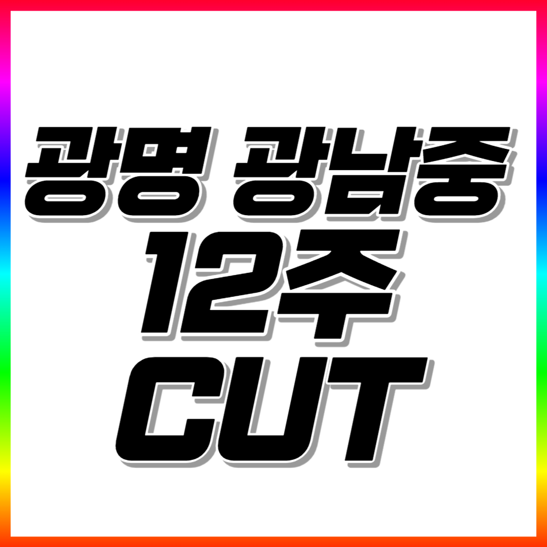  광명 초등 수학과외 광남중근처 고등 중학생 영어과외 전과목 일대일 맞춤수업 공부법 코칭수업