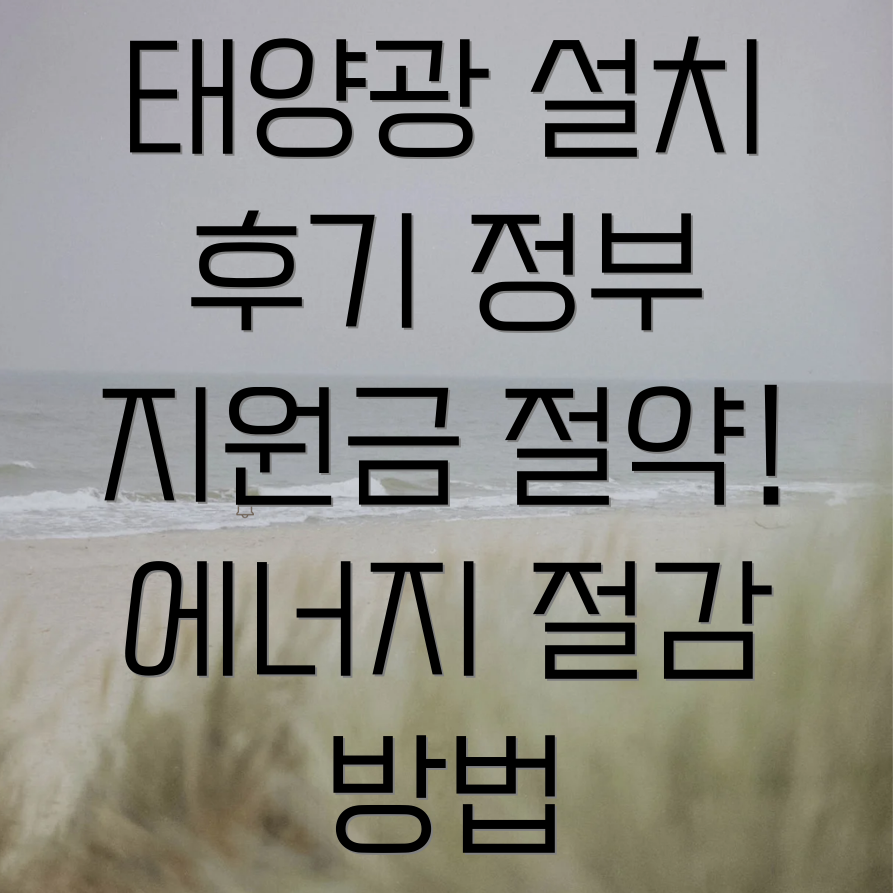 태양광 설치