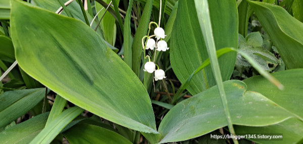 소백산국립공원 이미지