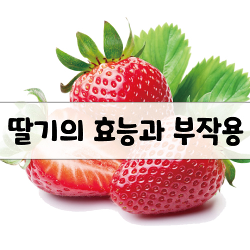 딸기의 효능과 부작용