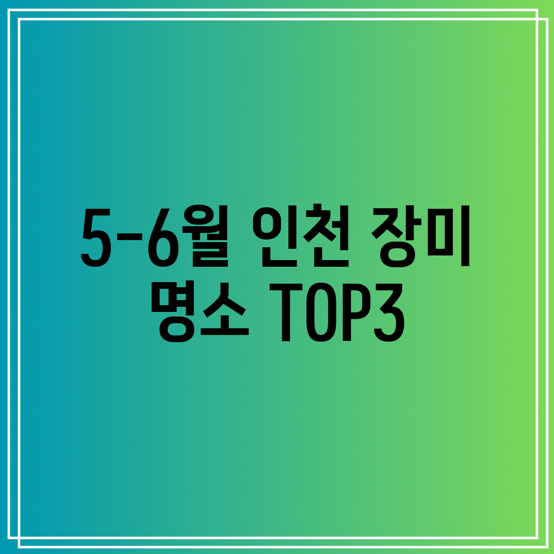 5-6월 인천 장미 명소 TOP3