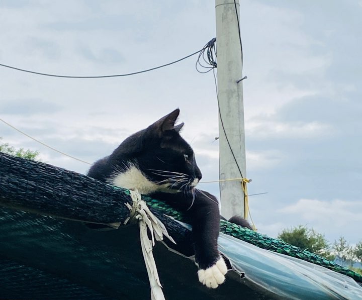 가을 들판 사진 가을 들판에서 9