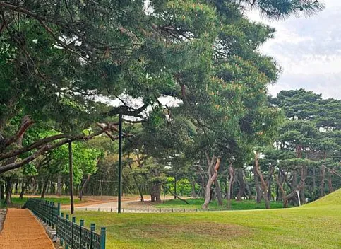 경주 오릉