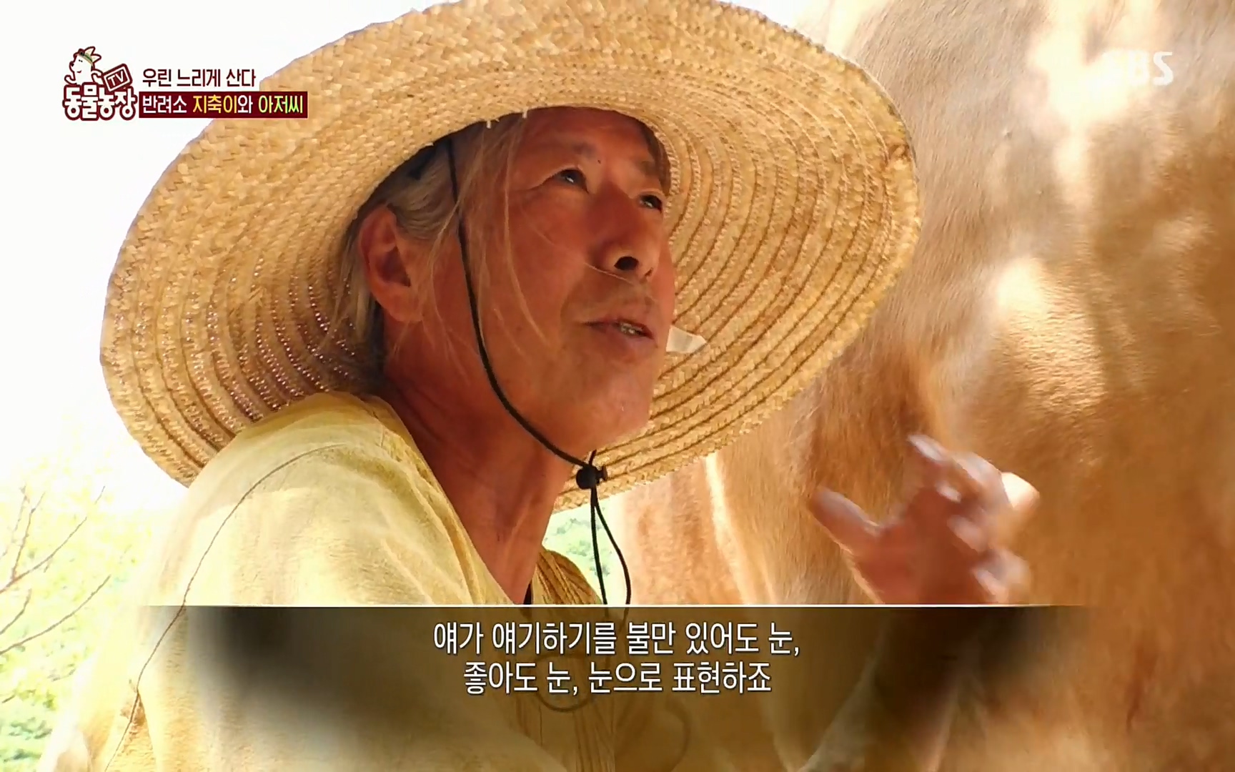 TV 동물농장.E1074.220619p.H264-F1RST.mp4_20220619_181247.736.jpg