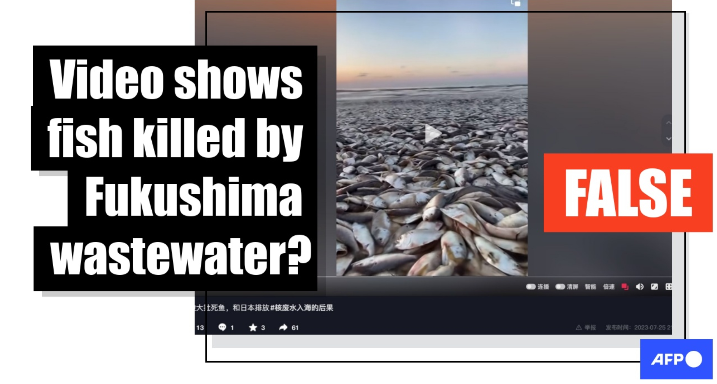 후쿠시마-폐수와-텍사스-물고기-폐사